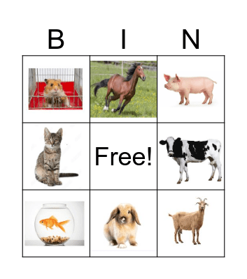 Animals Bingo Card