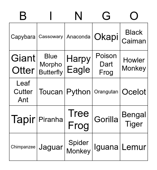 Rainforest Bingo Card