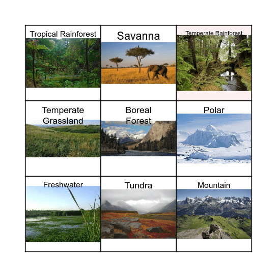 Biome Bingo Card