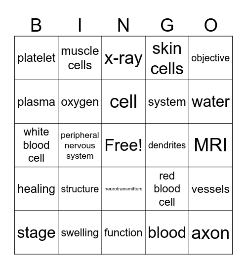 Cells & Systems Review Bingo Card