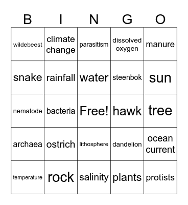 Abiotic Interactions & Abundance Bingo Card