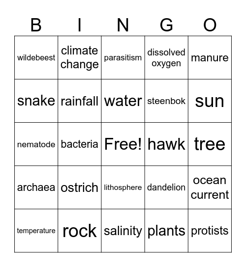 Abiotic Interactions & Abundance Bingo Card