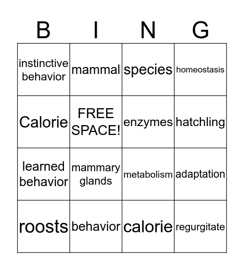 What Do Animals Need To Survive? Bingo Card
