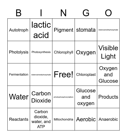 Cell Energy Bingo Card