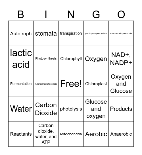 Cell Energy Bingo Card