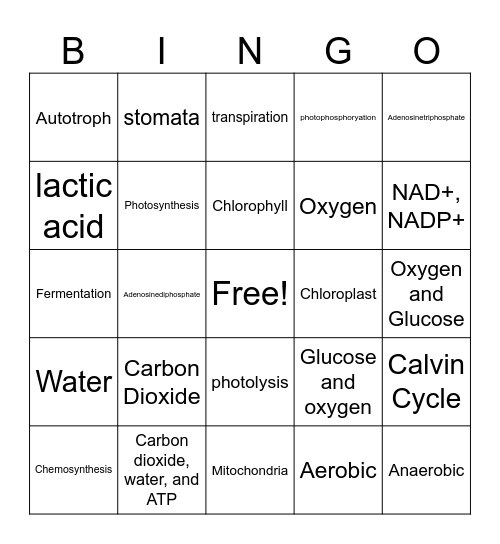 Cell Energy Bingo Card
