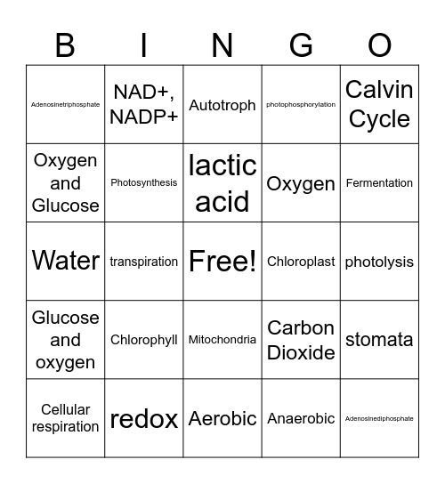 Cell Energy Bingo Card