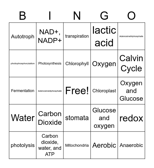 Cell Energy Bingo Card