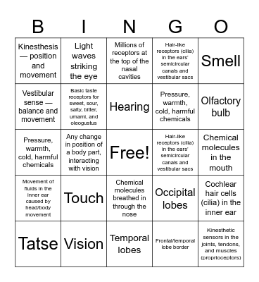 Sensations Bingo Card
