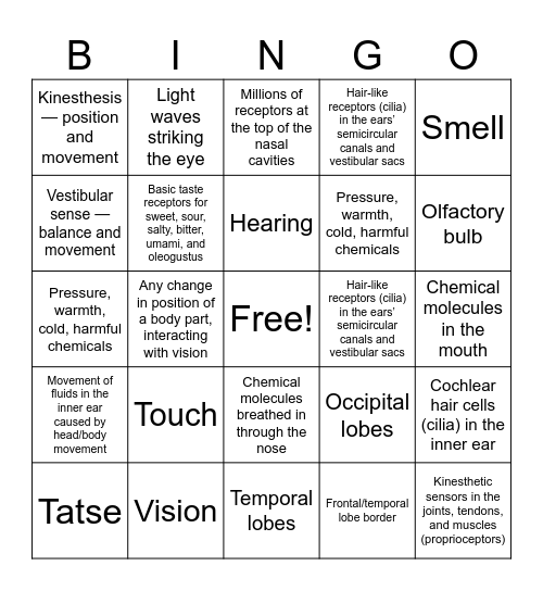 Sensations Bingo Card