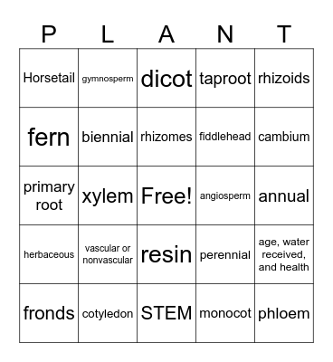 BJU Sci 6 Bingo Card