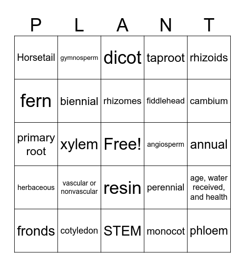 BJU Sci 6 Bingo Card