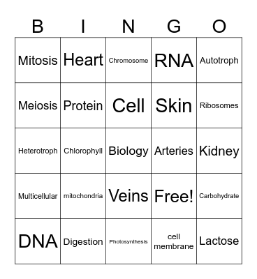 Biology BINGO! Bingo Card