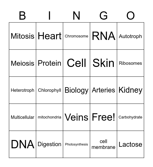 Biology BINGO! Bingo Card