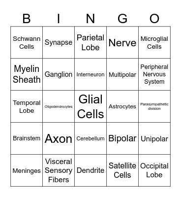 Nervous System Review Bingo Card