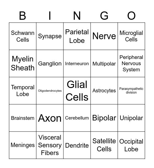 Nervous System Review Bingo Card