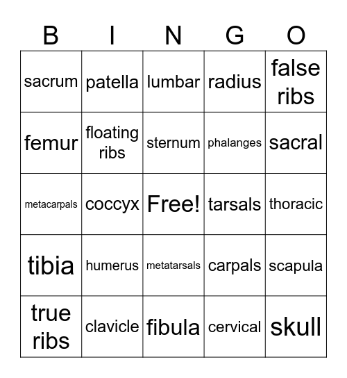 Skeletal System Bingo Card
