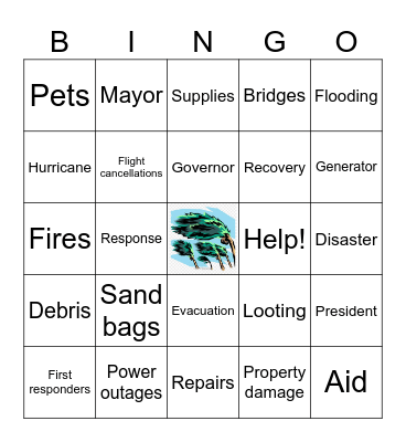 FEMA Bingo Card