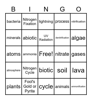 5.2 Nitrogen Cycle Bingo Card