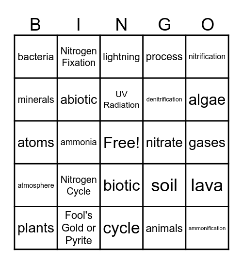 5.2 Nitrogen Cycle Bingo Card