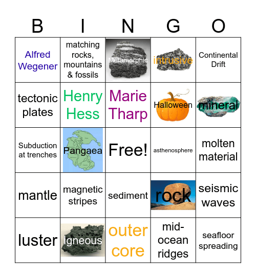 Unit 2 & Unit 4 Bingo Card