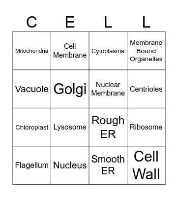 Parts of a Cell Bingo Card