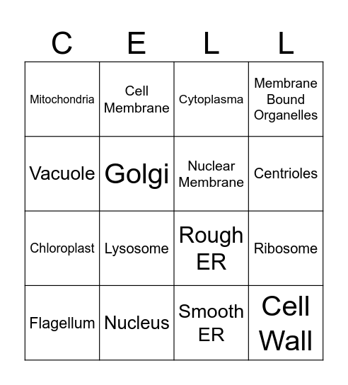 Parts of a Cell Bingo Card