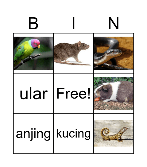 BINATANG HARPER Bingo Card