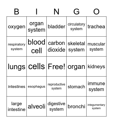 Body Systems Bingo Card