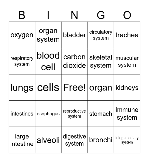 Body Systems Bingo Card