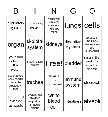 Body Systems Bingo Card