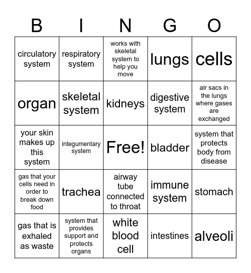 Body Systems Bingo Card