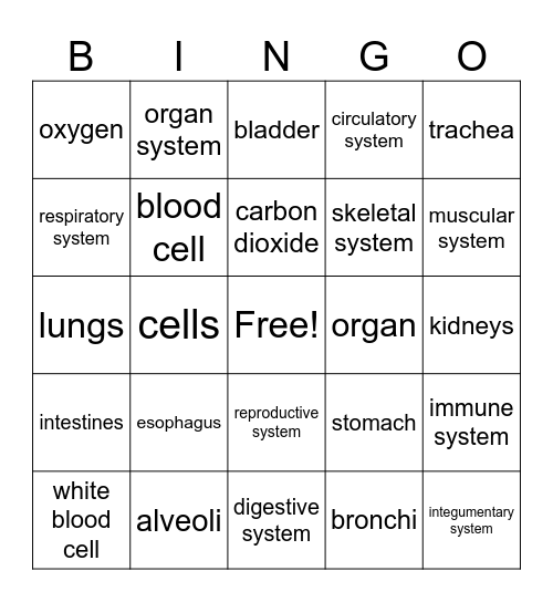 Body Systems Bingo Card
