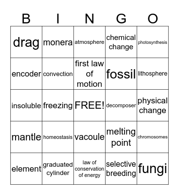 mcas Bingo Card