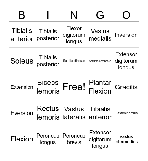 Foot/Ankle/Knee Muscles Bingo Card