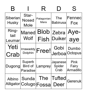 ANIMALS Bingo Card