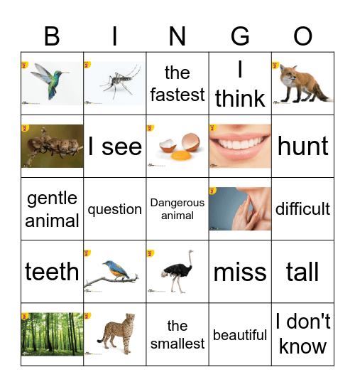 Unit 2 Bingo Card