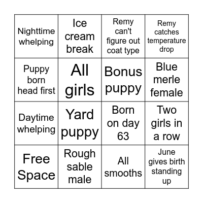 Beach Day Bingo Card
