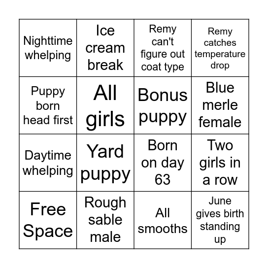Beach Day Bingo Card