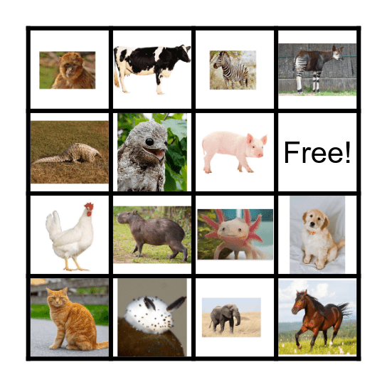 Animal Bingo Card