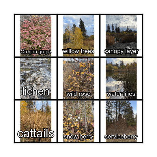 Lincoln Park pond Bingo Card