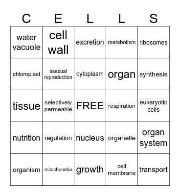 CELL BINGO 2025 Bingo Card