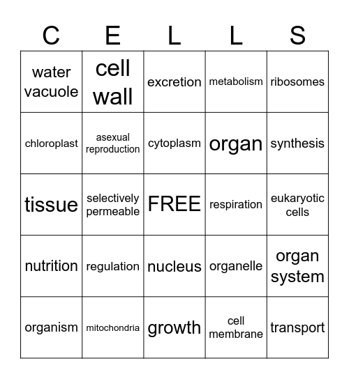 CELL BINGO 2025 Bingo Card