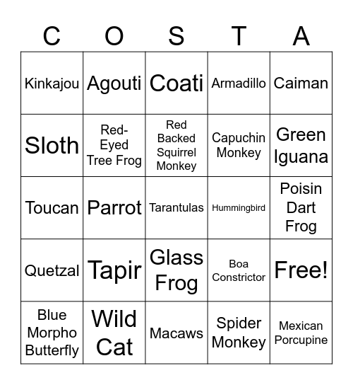 Pura Vida Bingo Card