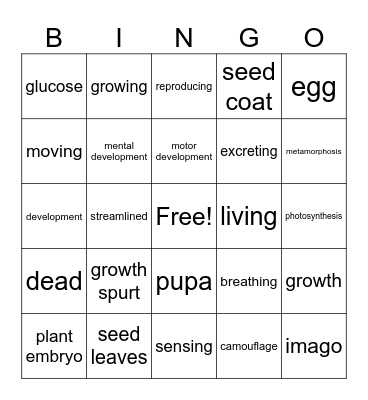 Chapter 1 - plants and animals Bingo Card