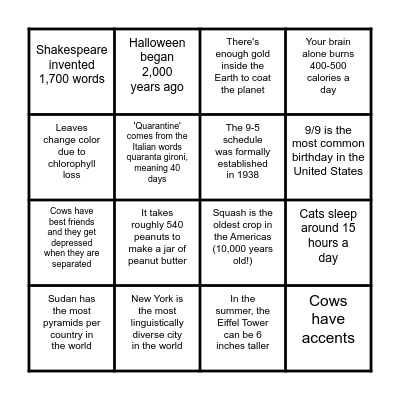 Do you read my emails? Bingo Card