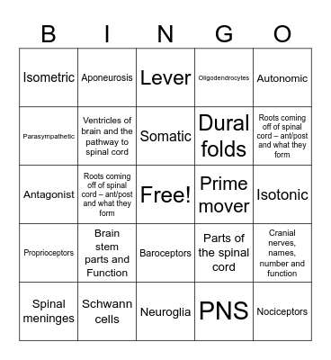 BINGO 2 11/19/2025 Bingo Card