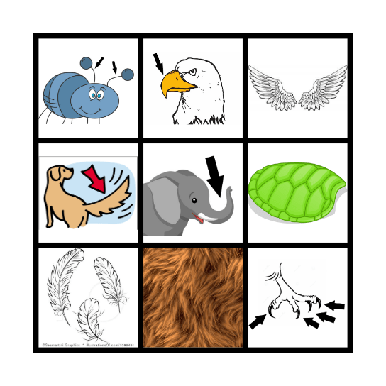 Animals Bingo Card