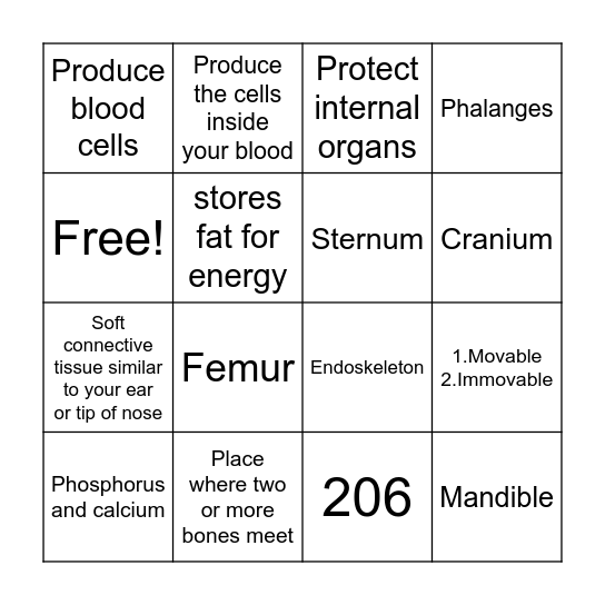 Skeletal System Bingo Card