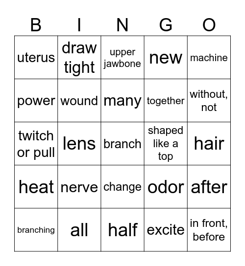 Gribbins DV 10 Bingo Card